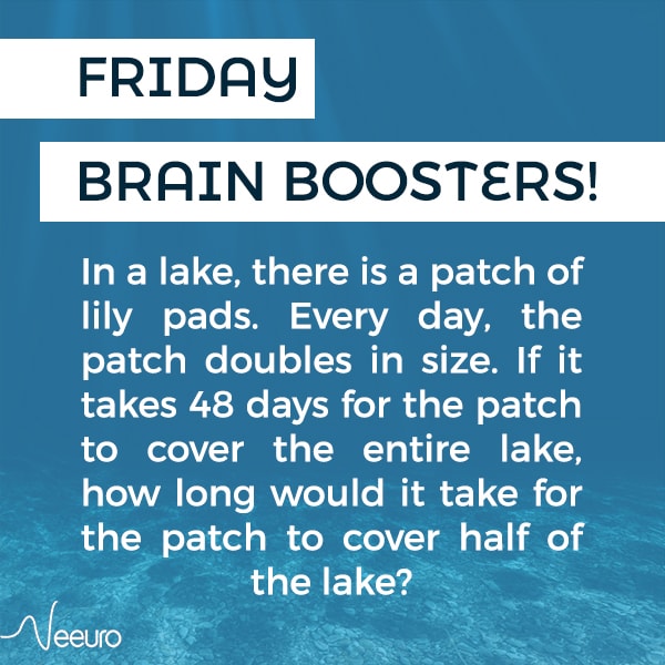 Neeuro Friday Brain Boosters – A Patch of Lily Pads