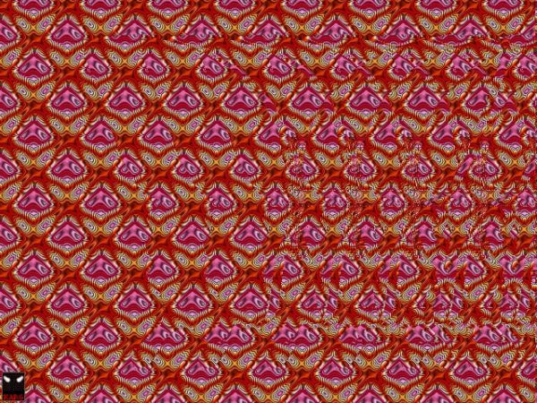 Neeuro Friday Brain Boosters – Stereograms